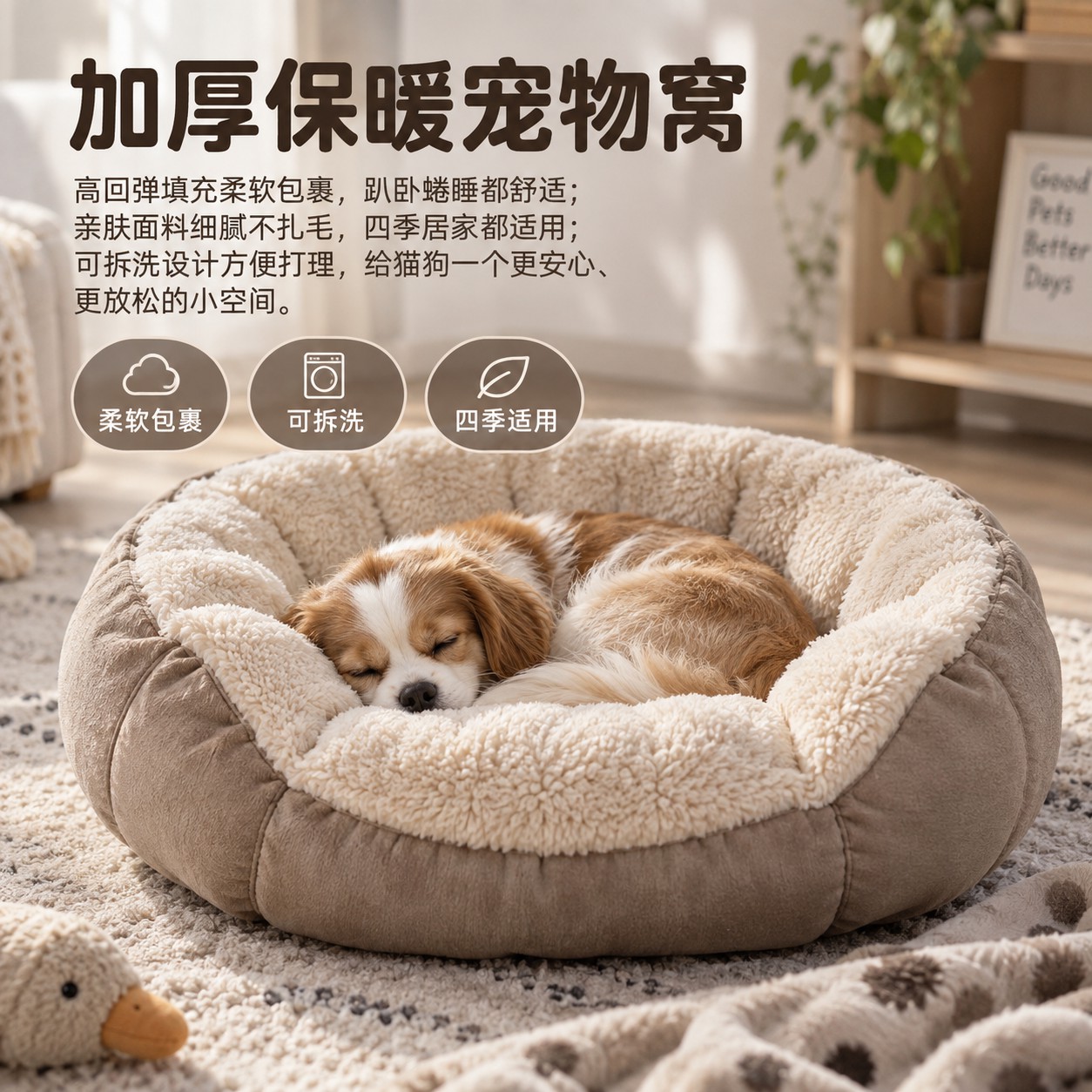 宠物产品摄影缩略图 5